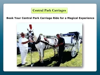 Book Your Central Park Carriage Ride for a Magical Experience