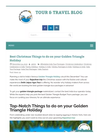 Best New Year Things to do on your Golden Triangle Holiday
