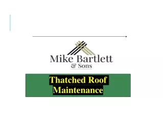 Thatched Roof Maintenance
