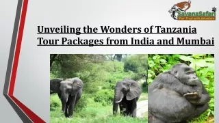 Unveiling the Wonders of Tanzania Tour Packages from India and Mumbai