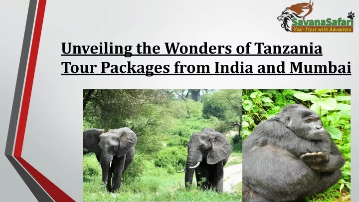 tanzania tour packages from mumbai