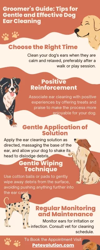 Groomer's Guide Tips for Gentle and Effective Dog Ear Cleaning