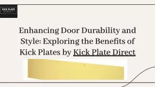 Door kick plate