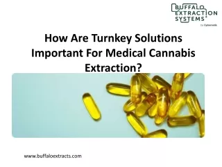 How Are Turnkey Solutions Important For Medical Cannabis Extraction?