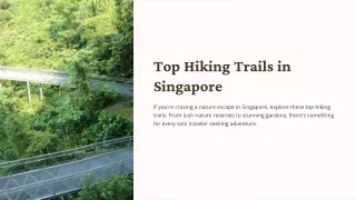 Top Hiking Trails in Singapore - Martin Huangg