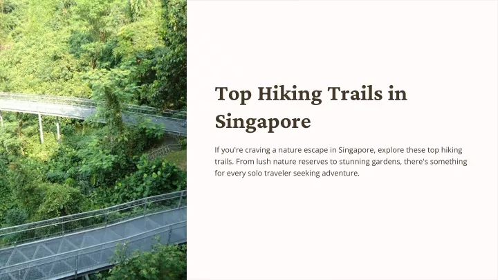 top hiking trails in singapore