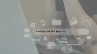 Professional SEO Services & Website Optimization