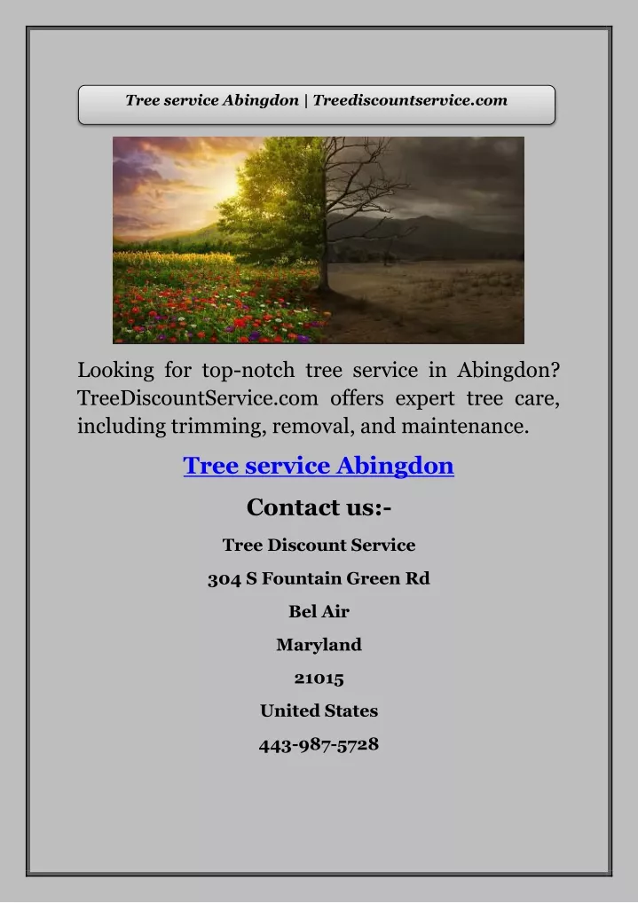 tree service abingdon treediscountservice com