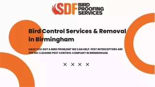 Effective Avian Control: Bird Proofing Solutions in Birmingham