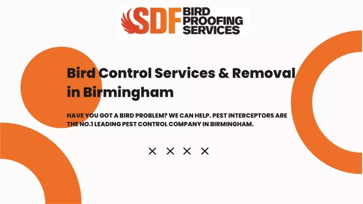 bird control services removal in birmingham
