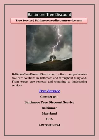 Tree Service | Baltimoretreediscountservice.com