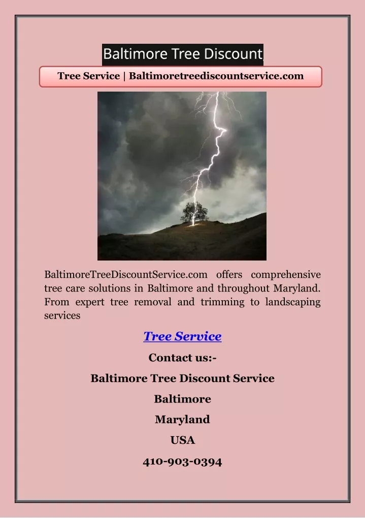 tree service baltimoretreediscountservice com