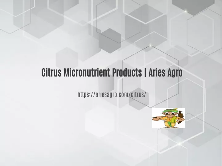 citrus micronutrient products aries agro