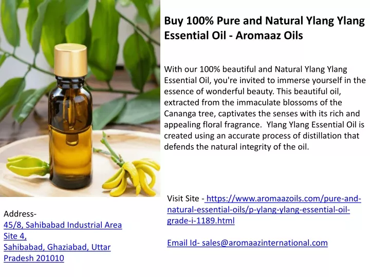 buy 100 pure and natural ylang ylang essential