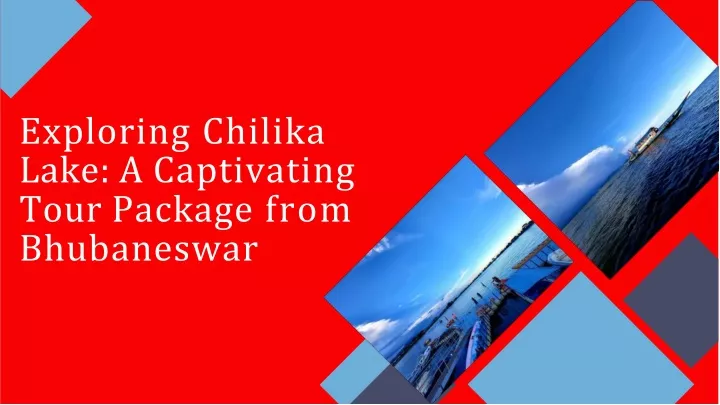 exploring chilika lake a captivating tour package from bhubaneswar