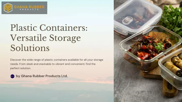 plastic containers versatile storage solutions