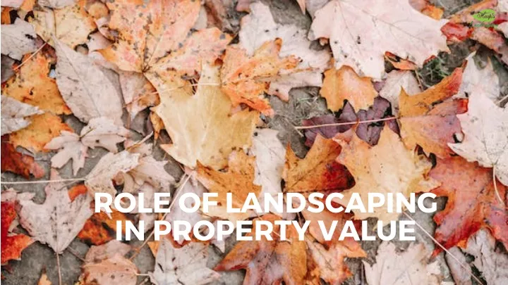 role of landscaping in property value