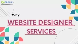 why Website Designer Services