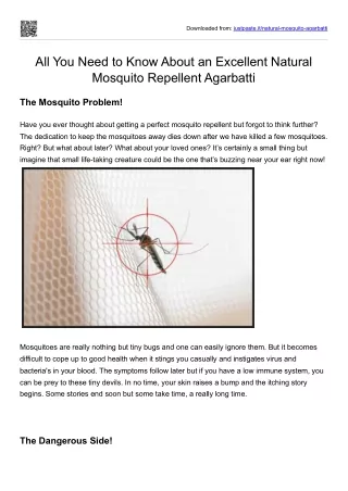 All You Need to Know About an Excellent Natural Mosquito Repellent Agarbatti
