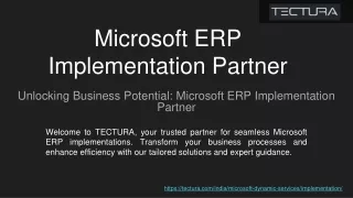 Microsoft ERP Implementation Partner