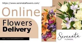 Online Flowers Delivery: Serenata Flowers - Your Premier Floral Destination