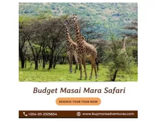 Exploring Masai Mara: A Budget Masai Mara Safari Experience