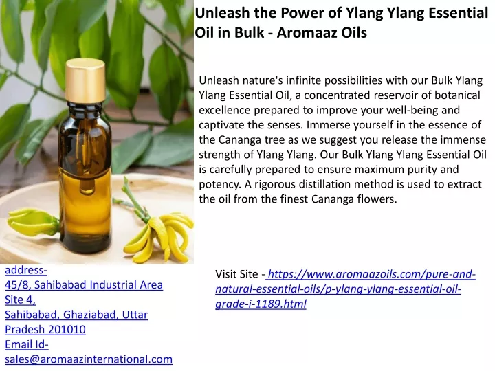 unleash the power of ylang ylang essential