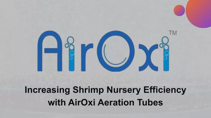 increasing shrimp nursery efficiency with airoxi