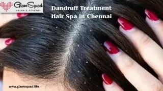 Dandruff Treatment Hair Spa in Chennai