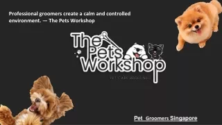 professional groomers create a calm