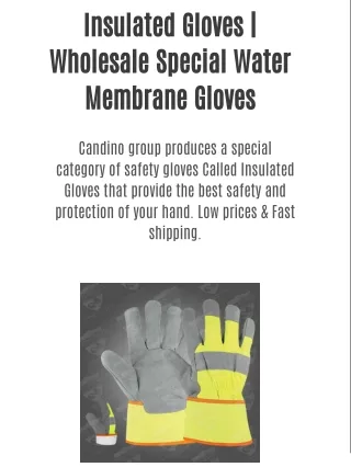 Insulated Gloves