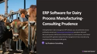 ERP-Software-for-Dairy-Process-Manufacturing-Consulting-Prudence