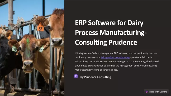 erp software for dairy process manufacturing