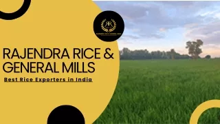 Rajendra Rice & General Mills: Leading Rice Exporters in India