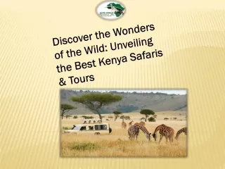 Discover the Wonders of the Wild Unveiling the Best Kenya Safaris & Tours