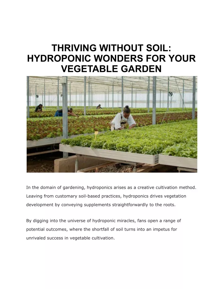 thriving without soil hydroponic wonders for your