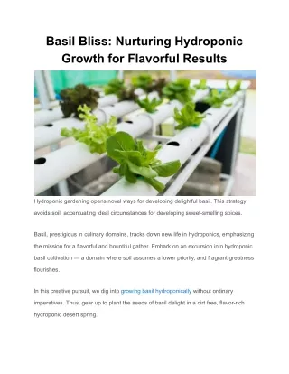 basil bliss nurturing hydroponic growth