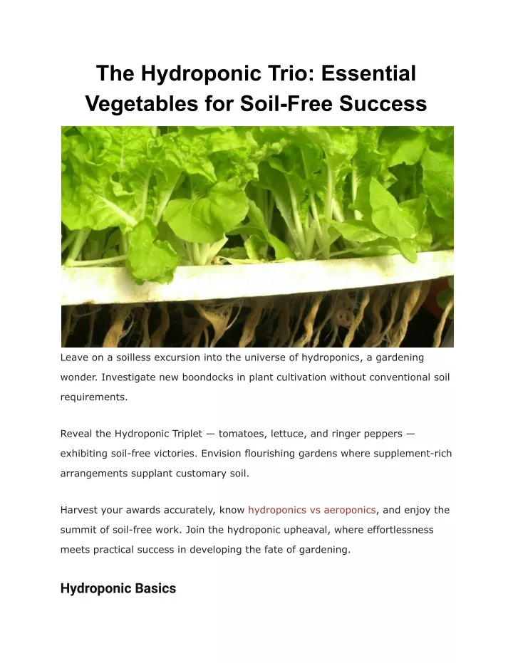 the hydroponic trio essential vegetables for soil