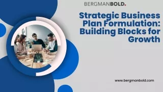 Strategic Business Plan Formulation Building Blocks for Growth