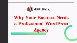 Why Your Business Needs a Professional WordPress Agency