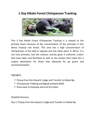 1 Day Kibale Forest Chimpanzee Tracking