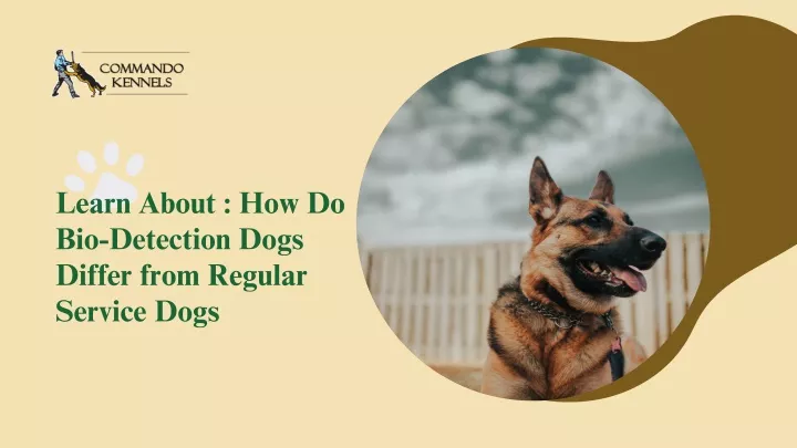learn about how do bio detection dogs differ from