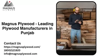 Magnus Plywood - Leading Plywood Manufacturers in Punjab