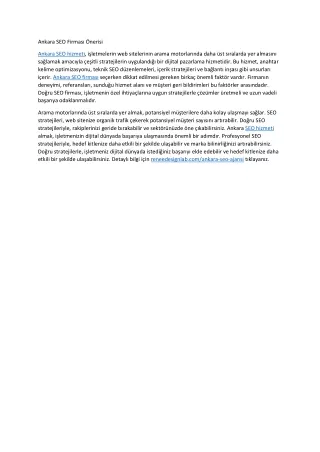 ankara seo firmas nerisi
