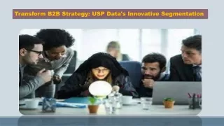 Transform B2B Strategy USP Data's Innovative Segmentation