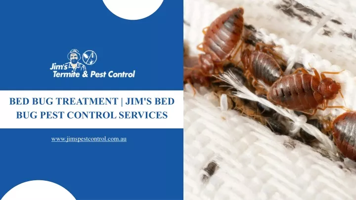 bed bug treatment jim s bed bug pest control