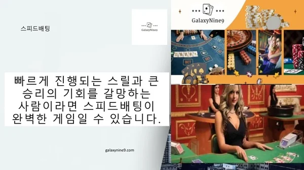 스피드배팅