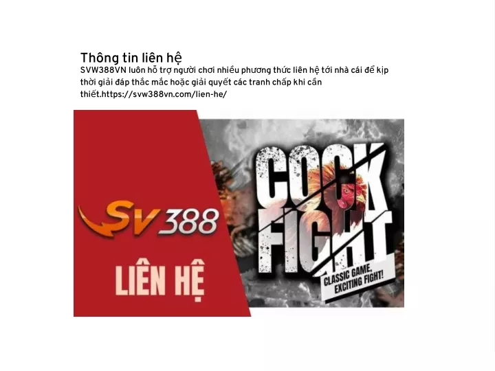 th ng tin li n h svw388vn