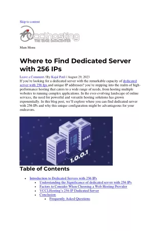 Where to find dedicated server with 256 ips