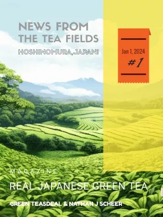 NEWS FROM THE TEA FIELDS OF JAPAN #1